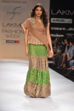 Model walk the ramp for payal Kapoor show at Lakme Fashion Week Day 3 on 5th Aug 2012 (14).JPG